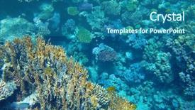  Presentation with sea coral - Colorful theme enhanced with reef in the red sea backdrop and a ocean colored foreground