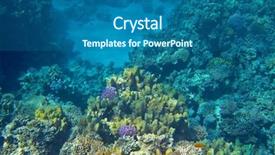  Presentation with corral reef - PPT theme having reef in the red sea background and a ocean colored foreground