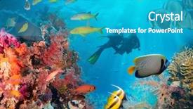  Presentation with tropical reef fish - Slide set consisting of reef with coral and sponge background and a teal colored foreground
