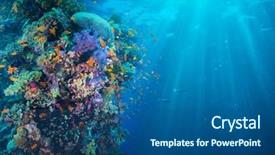  Presentation with tropical reef fish - Amazing presentation theme having reef with coral and sponge backdrop and a ocean colored foreground