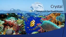  Presentation with tropical reef fish - Slide deck enhanced with reef with coral and sponge background and a light blue colored foreground