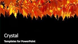  Presentation with autumn leaves - Audience pleasing presentation consisting of refelection - autumn foliage orange leaves backdrop and a black colored foreground