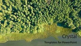  Presentation with river forest - Amazing presentation design having reflection of clouds and deciduous backdrop and a gold colored foreground