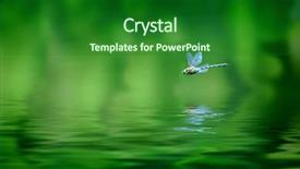  Presentation with dragonfly - Colorful theme enhanced with reflection of dragonfly hovering backdrop and a forest green colored foreground
