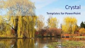  Presentation with willow tree - Colorful PPT theme enhanced with reflection of weeping willow backdrop and a sky blue colored foreground