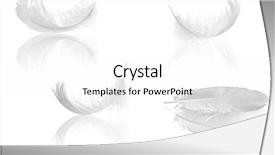  Presentation with white dove - Theme consisting of reflections isolated on white background and a white colored foreground