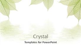  Presentation with green - Amazing slides having reflections-of-green-sheets backdrop and a cream colored foreground