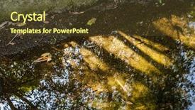  Presentation with tree river - Presentation theme consisting of reflective - tranquil river with reflection background and a tawny brown colored foreground