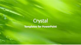  Presentation with dew - Theme featuring reforestation - background a grass with dew background and a shamrock green colored foreground