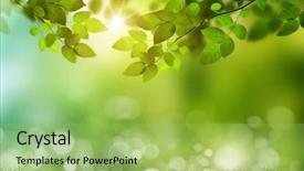  Presentation with green nature - Colorful slide deck enhanced with reforestation - eco nature green and blue backdrop and a yellow colored foreground