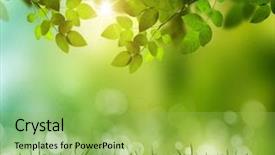  Presentation with sunshine - Audience pleasing slide set consisting of reforestation - eco nature green and blue backdrop and a yellow colored foreground