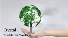  Presentation with green life - Cool new slides with reforestation - green eco life backdrop and a light gray colored foreground