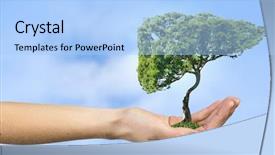  Presentation with green life - Presentation with reforestation - green eco life background and a light blue colored foreground