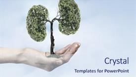  Presentation with green life - Amazing slides having reforestation - green eco life backdrop and a sky blue colored foreground