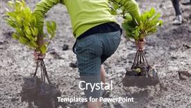  Presentation with tree planting - Presentation design consisting of reforestation - man walking in mud background and a gray colored foreground