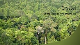  Presentation with nata de coco tropical - Cool new PPT layouts with reforestation - nature landscape tropical green forest backdrop and a seafoam green colored foreground