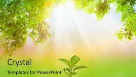  Presentation with natural gas power plant - PPT theme enhanced with reforestation - plant growing over natural green background and a yellow colored foreground