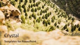  Presentation with mountains - Presentation consisting of reforestation - reforested areas in the mountains background and a lemonade colored foreground