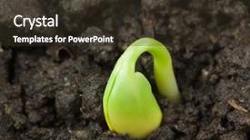  Presentation with soy - Cool new theme with reforestation - small plant of soy backdrop and a tawny brown colored foreground