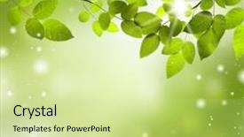  Presentation with spring nature grass - Presentation design consisting of sand sea - have fun on beach run background and a cream colored foreground.