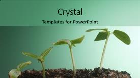  Presentation with growing - Beautiful theme featuring reforestation - stock image of the small backdrop and a seafoam green colored foreground