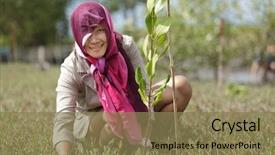  Presentation with tree planting - Slide deck enhanced with reforestation - thai woman planting new mangrove background and a  colored foreground