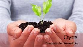  Presentation with plant growth - Audience pleasing slide deck consisting of reforestation - woman hands with green plant backdrop and a red colored foreground