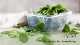  Presentation with tea leaves fresh green leaf - Amazing slide deck having entrepot frigorifique - baby spinach leaves backdrop and a seafoam green colored foreground