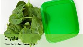 Presentation with chemistry leaves green leaf - Theme enhanced with entrepot frigorifique - baby spinach leaves background and a seafoam green colored foreground