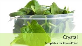  Presentation with chemistry leaves green leaf - Slide deck consisting of entrepot frigorifique - baby spinach leaves background and a yellow colored foreground