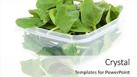  Presentation with chemistry leaves green leaf - Slide deck having entrepot frigorifique - baby spinach leaves background and a white colored foreground