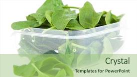  Presentation with tea leaves fresh green leaf - Beautiful PPT layouts featuring entrepot frigorifique - baby spinach leaves backdrop and a mint green colored foreground