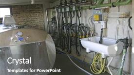  Presentation with machines - Presentation theme consisting of refrigeration system - new suction milking machines installed background and a dark gray colored foreground