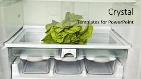  Presentation with refrigerator - Cool new slides with refrigerator close up with cabbage backdrop and a mint green colored foreground