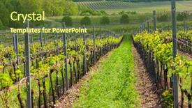  Presentation with cordillera ar region - Slide set enhanced with regional - vineyards palava moravia region czech background and a tawny brown colored foreground