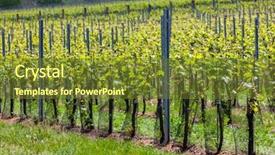  Presentation with cordillera ar region - PPT layouts having regional - vineyards palava moravia region czech background and a tawny brown colored foreground