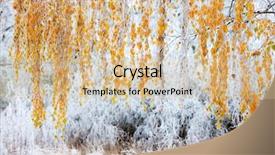  Presentation with winter landscape winter tree - PPT theme with regional - winter landscape moravia region czech background and a soft green colored foreground