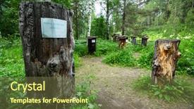  Presentation with trees - PPT theme featuring regional development - remains of trees made background and a tawny brown colored foreground