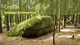  Presentation with anatomy lower limb - Slide deck having regional economics - lower austria kautzen scorpio place background and a tawny brown colored foreground