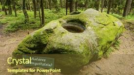  Presentation with anatomy lower limb - Presentation consisting of regional economics - lower austria kautzen scorpio place background and a tawny brown colored foreground