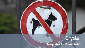  Presentation with sad dog abandoned dogs - Beautiful theme featuring regulatory - no dogs allowed old prohibition backdrop and a seafoam green colored foreground