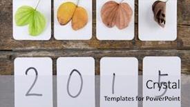  Presentation with summer winter autumn spring - Presentation with reincarnation - spring summer autumn and winter background and a  colored foreground