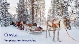  Presentation with winter forest - Cool new slides with reindeer in a winter forest backdrop and a sky blue colored foreground