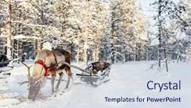  Presentation with winter forest - Cool new PPT layouts with reindeer in a winter forest backdrop and a  colored foreground