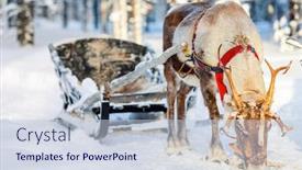  Presentation with forest winter - Slide deck with reindeer-safari-in-a-winter background and a lemonade colored foreground