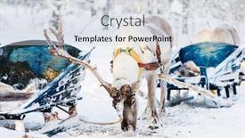  Presentation with winter forest - Slide deck enhanced with reindeer-safari-in-a-winter background and a light gray colored foreground