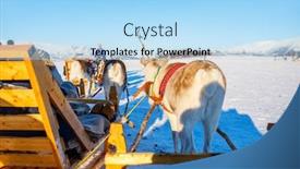 Presentation with safari - Presentation theme consisting of reindeer-safari-on-sledge background and a light blue colored foreground