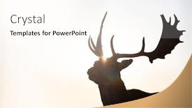  Presentation with magic - Theme having reindeer-silhouette-in-magic-sunset background and a cream colored foreground