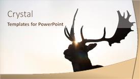  Presentation with magic - Audience pleasing PPT layouts consisting of reindeer-silhouette-in-magic-sunset backdrop and a sky blue colored foreground