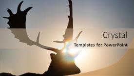  Presentation with magic - Beautiful PPT theme featuring reindeer-silhouette-in-magic-sunset backdrop and a soft green colored foreground